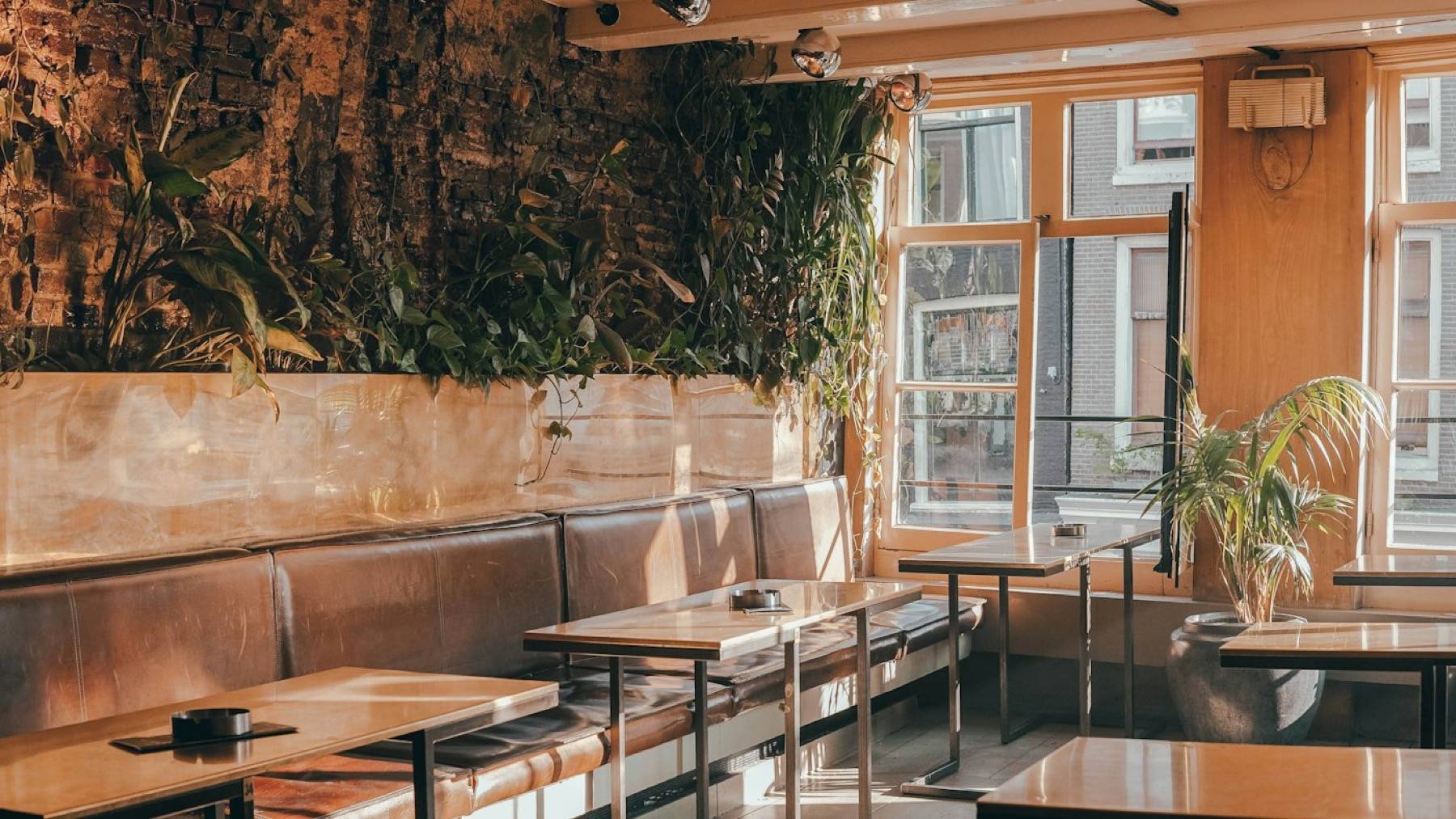 Salón con banco de cuero, muro vegetal y luz de ventana